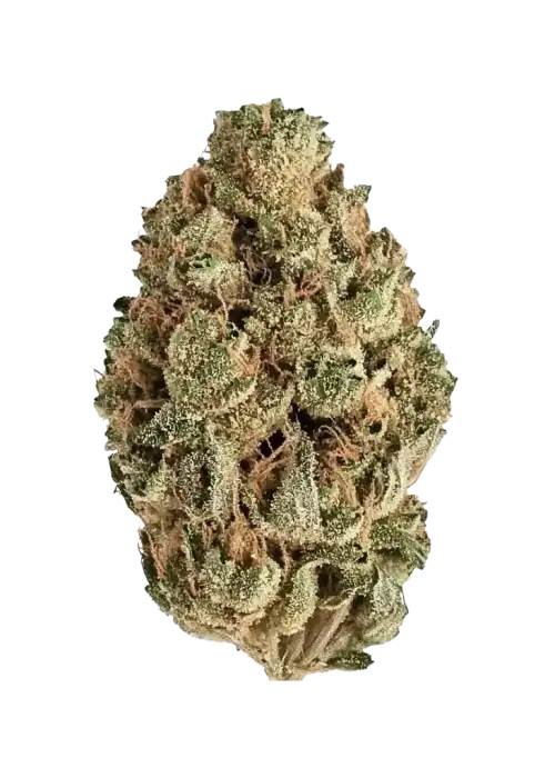 SOUR DIESEL - THCa Flower