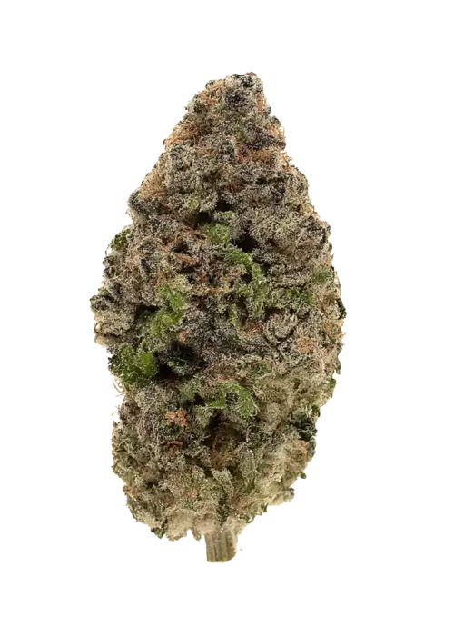 SOUR COOKIES - THCa Flower