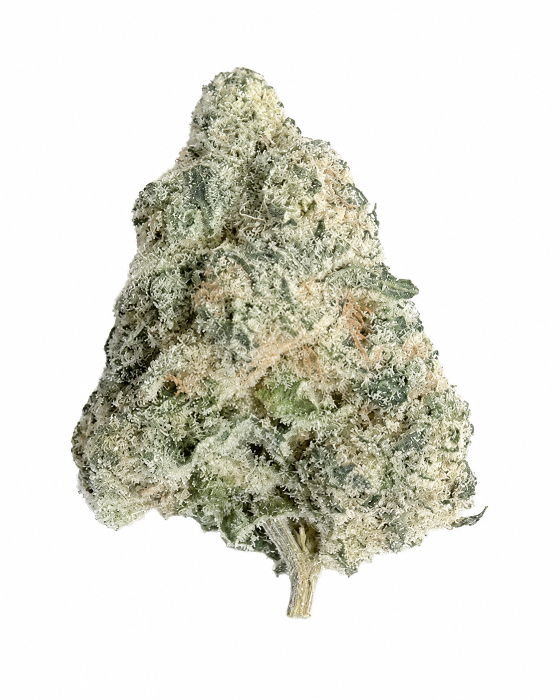 BERRY BONDS - THCa Flower