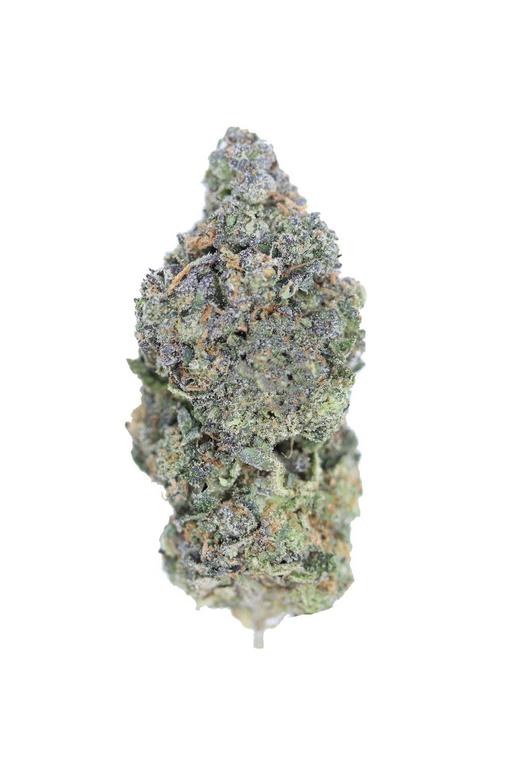 CANDY SHERBERT - THCa Flower