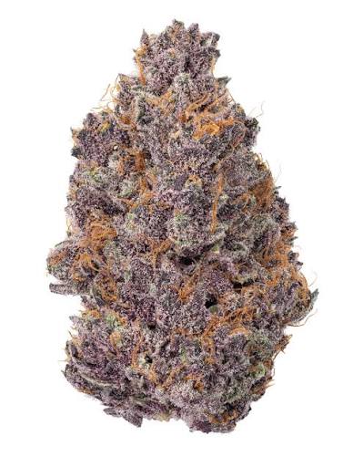 TROPICANA CHERRIES - THCa Flower