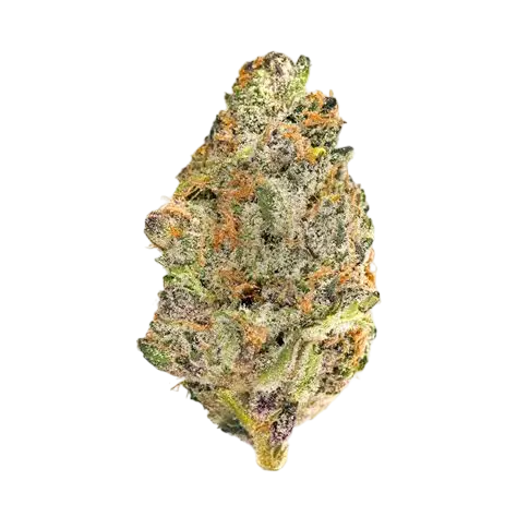 SUPER BOOF - THCa Flower
