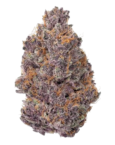 TROPICANA CHERRIES - THCa Flower
