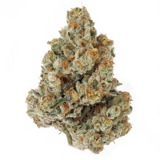 HONEY DONUT - THCa Flower