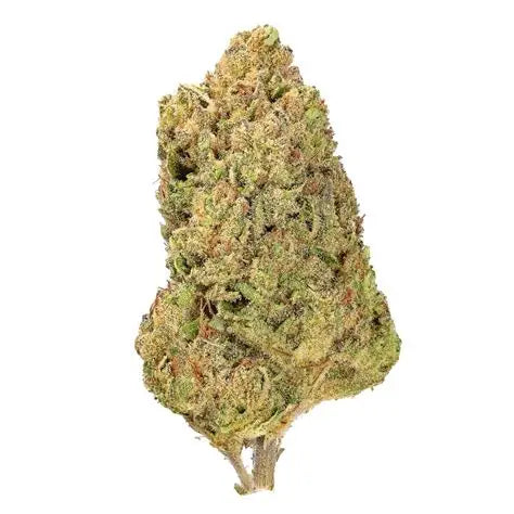 WHITE RUNTZ - THCa Flower
